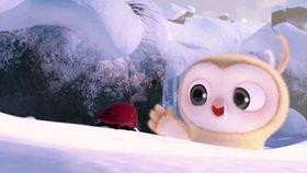 娱乐日常吃瓜视频,揭秘明星幕后故事